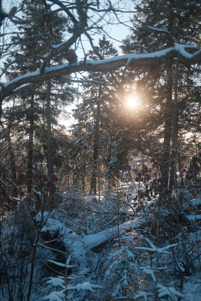 Kristiansand-40
